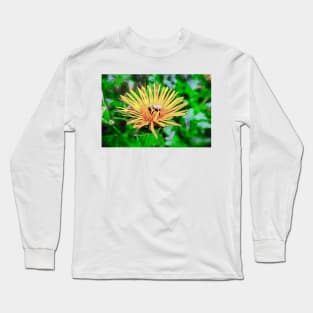 Bee On Elecampane Flower 2 Long Sleeve T-Shirt